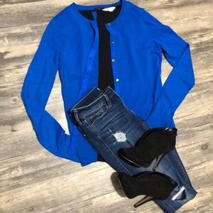 Blue Ann Taylor Cardigan (Medium)